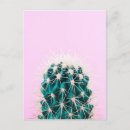 Suche nach prickley poster Kakteen