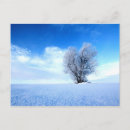 Suche nach winterbäume postkarten Schnee