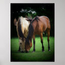 Suche nach pony poster Liebe