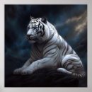 Recherche de tigres blancs posters Pour lui