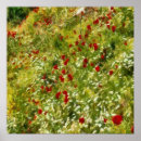 Suche nach papaver poster Sommer