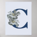 Suche nach hibiskus blume poster Blumig