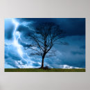 Suche nach pics poster Natur