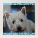 Recherche de westie puzzles Terrier