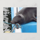 Suche nach atlantische inseln postkarten Atlantischer ozean