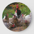 Recherche de basse cour horloges Poulets