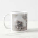 Recherche de ragdoll tasses Bleu