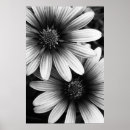 Suche nach schwarze blumen poster Blüten