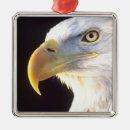 Recherche de aigle ornements Oiseau de proie