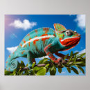 Suche nach buntes chamäleon poster Natur