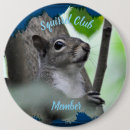 Suche nach eichhörnchen buttons Natur