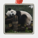 Suche nach bambus ornamente Bär