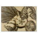 Recherche de méduses planches à découper Dollar de sable