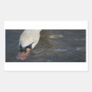 Recherche de cygnes autocollants Pour tous