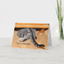 Recherche de honte vœux cartes Chat