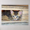 Suche nach verstecken kunst Bauernhof