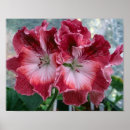 Recherche de flower posters Paysage