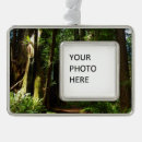 Suche nach farne ornamente Wald