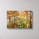 Suche nach herbstwald leinwandbilder Landschaft