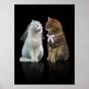 Recherche de photo humoristique posters Mignon