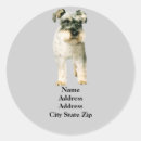 Suche nach miniature schnauzer aufkleber Terrier