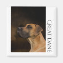 Suche nach dogge magnete Hund