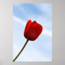 Recherche de tulipe rouge posters Bleu