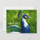Recherche de funky vœux cartes Photographie