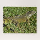 Recherche de lézard puzzles Tropical