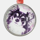 Recherche de noël de chiwawa Amoureux des animaux