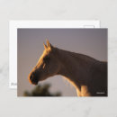 Suche nach backlit poster Grau