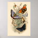 Suche nach vintage biologie poster Wissenschaft