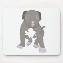 Recherche de pitbull tapis souris Chiot