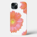 Suche nach gerbera andere Orange
