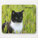 Recherche de chat noir tapis souris Blanc