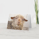 Suche nach blinzeln karten Lustig