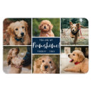 Recherche de du chien magnets Typographie