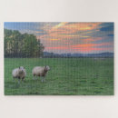 Suche nach landwirtschaftliches feld puzzle Wolken