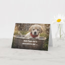 Recherche de labrador jaune vœux cartes Dog