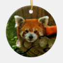 Recherche de panda rouge ornements Vacances