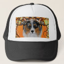 Recherche de berger casquettes Amoureux des chiens