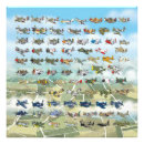 Suche nach flugzeug foto poster Flugzeuge