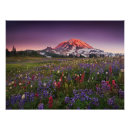 Suche nach bunte blumen poster Natur
