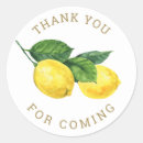 Suche nach zitrusfrucht aufkleber Für sie