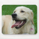 Suche nach sweet mousepads Hund