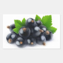 Suche nach schwarze johannisbeere aufkleber Beeren