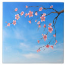 Suche nach cherry blossom fliesen Rosa