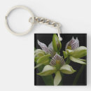 Suche nach blumenbilder schlüsselanhänger Violette blumen