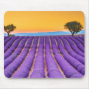 Recherche de provence tapis souris Vacances