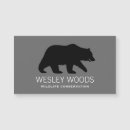 Suche nach grizzlybären Wildtiere